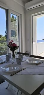 Apartmani Aco Rudinac Čanj - Čanj - 8