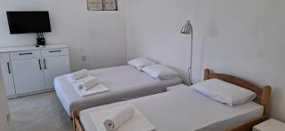 Apartmani Aco Rudinac Čanj - Čanj - 1