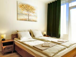 Boro Hills - Borovets - 2