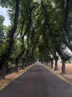 Sous les voûtes - Gargenville - 8