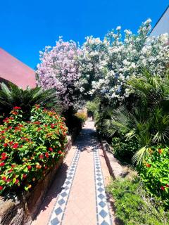 Hotel Lo Smeraldo - Ventotene - 0