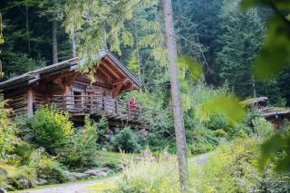 Amour de Chalet - La Bresse - 3