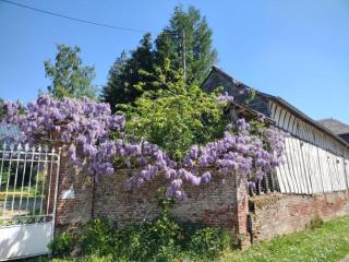 Villa des glycines et Spa - Cempuis - 6