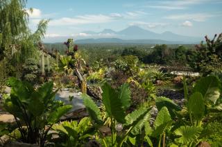 Sumberkima Hill 3 - Banyuwedang - 5