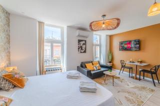 Mimosa Roanne centre-ville - Parking & Clim - Roanne - 5