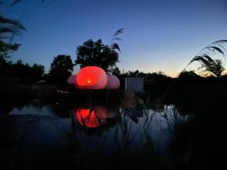 Bulle & caravane Coeur de Brenne - Rosnay - 7
