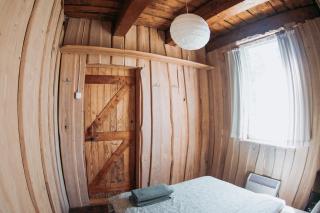 Sunny Nights Homestead Rustic House - 7