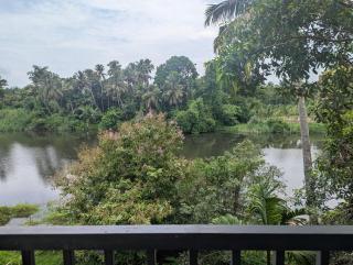 Neelambari Ecotoursm - Thrissur - 8