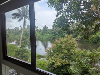 Neelambari Ecotoursm - Thrissur - 7