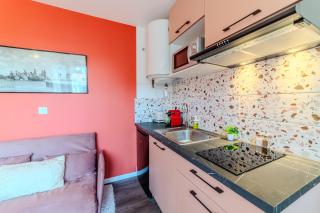 Rose Roanne centre-ville - Parking & Clim - 6