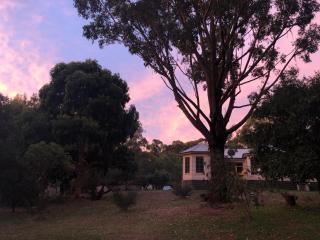 Walden Dale 5 acre Otways retreat - Barongarook - 2