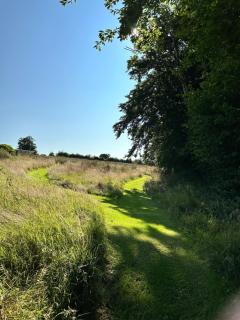 Pencastell Views - Nantcwnlle - 3