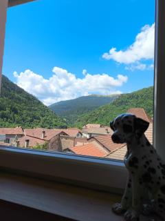 Apartamento BURUZURI3 Izaba-Isaba - Isaba - 4