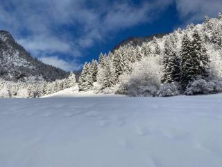 Appartement T2 à Torgon - Vionnaz - 5