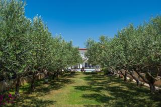 Beachfront villa Mihovil with direct beach access - Kastel Stafilic - 5