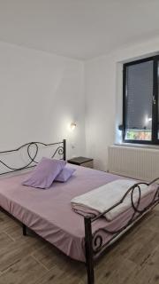 Apartment Ultracentral Pitesti - Piteşti - 8