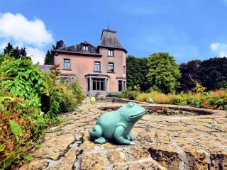 Castle in Chiny Ardennes with Sauna and DJ Setup - Jamoigne - 1