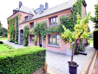 Castle in Chiny Ardennes with Sauna and DJ Setup - Jamoigne - 0