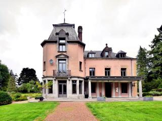 Castle in Chiny Ardennes with Sauna and DJ Setup - Jamoigne - 9