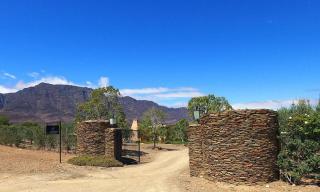 AlteVrede Olive Farm - 9