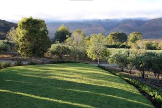 AlteVrede Olive Farm - 6
