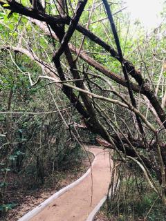 Wild's Wilpattu - Anuradhapura - 5