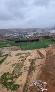 Appartement - Oulad Akkou - 3