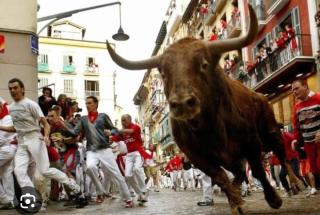 Habitación en Pamplona para san Fermin - Pamplona - 3