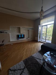 Nizami street Central Apartment near Boulevard & Hilton by BakuPrimeApart - Baku - 8