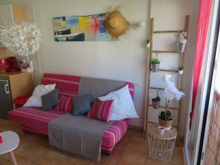 Studio IZAR Cœur de Plage - Parking - Classé 2 étoiles - Hendaye - 8