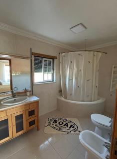Condinho's Guest House - Golegã - 7