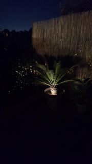 B&B Jungle Baita - 7