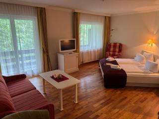Hotel Kürschner - Kötschach-Mauthen - 3