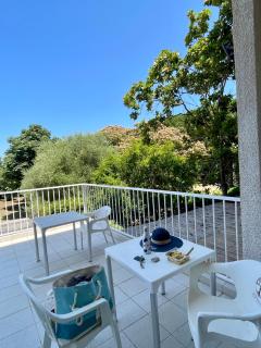 SAINT FLORENT studio terrasse 2 à 3 personnes calme avec piscine au sel - Saint-Florent - 4