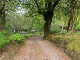 Crossburn Hideaway - Helensburgh - 3