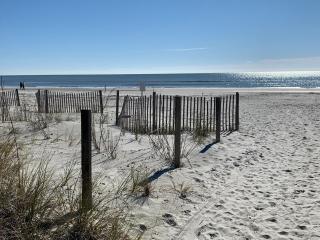 Coastal Soul-Gorgeous Direct OceanFront! - 4