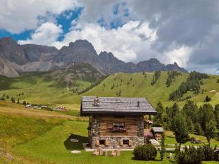 Suite Chalet Stella Margherita - Passo San Pellegrino - 1