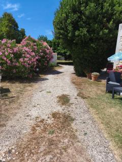 Chez Cathy et Jean loup - Port-des-Barques - 3