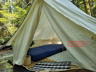 Gibsons Creek RV Resort and Campground - Gibsons - 8