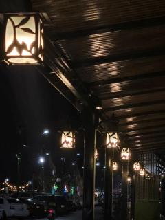 wooden tree nongkhai - 5