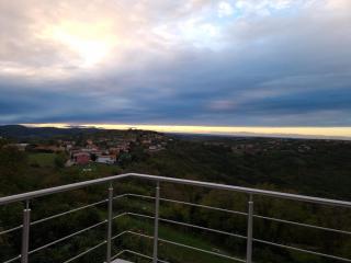 Apartma Olivia - Šmarje - 0