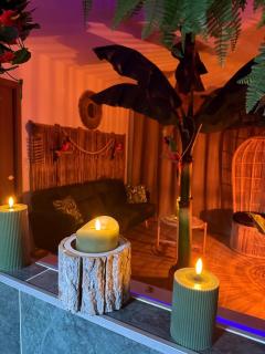 Lodge de la Jungle avec Spa - 9