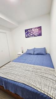 Joyce Place Walk to Shops, Stay in Comfort - Calgary - 5