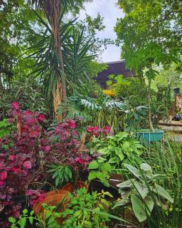 Cottage of the Grumpy Old Man, no loadshedding - Pretoria - 3