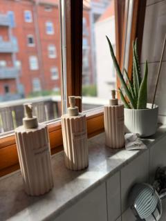 Apartment im Herzen Erfurts - Erfurt - 0