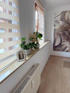 Apartment im Herzen Erfurts - Erfurt - 4