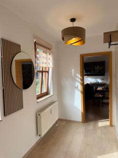 Apartment im Herzen Erfurts - 1