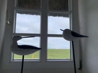 Friesenhof Windfang - Nordstrand - 9
