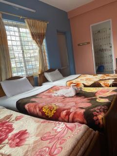 Mountain Village Hotel - Pokhara - 1