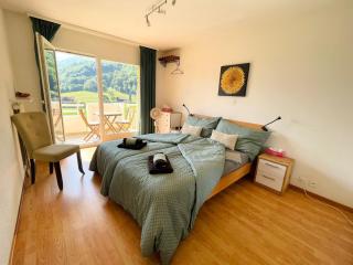 Mountain View - Monthey - 8